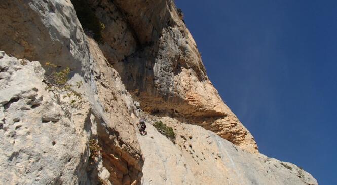 Initiation au terrain d'aventure - Dimanche 12 octobre image article