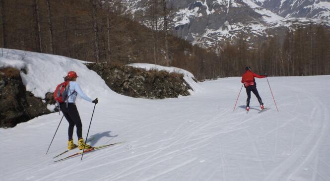 Formation Initiateur FFCAM ski de fond image article