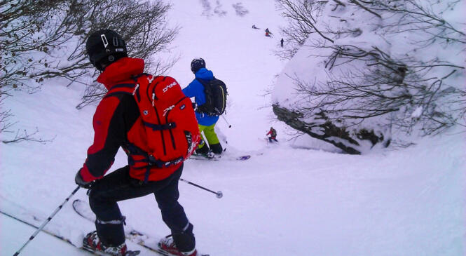 FREERANDO 1 - Le boss des Arcosses image article