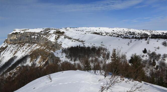 SUR LES TRACES DU TÉTRAS AU MARGERIAZ! image article