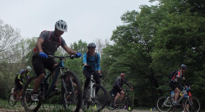 La villette, le bois des galipettes ! image article
