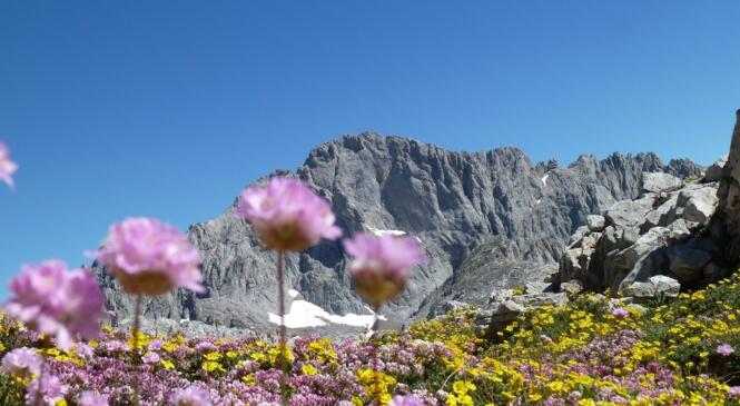De Potes à Covadonga, traversée intégrale de Picos de Europa image article