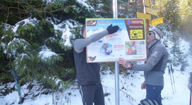 Délimitation des zones d'hibernage des Tétras Lyre avec le parc des Bauges. image article