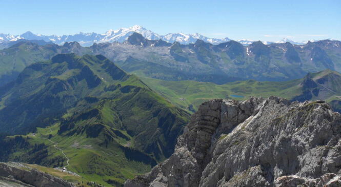 Plein les yeux au Jallouvre ! image article