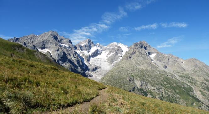 Les Écrins, des glaciers des fleurs image article