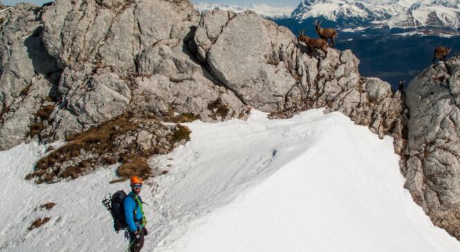 Bivouac hivernal au Gerbier image article