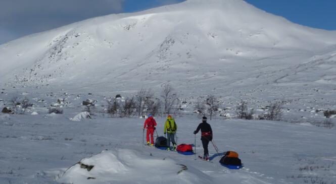 Raid hivernal en Laponie image article