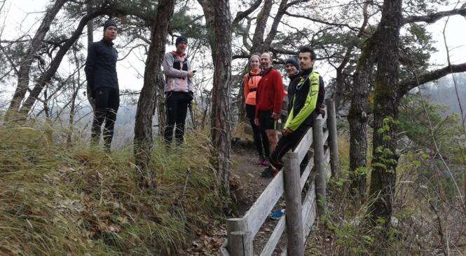 Le jour se lève pour le groupe Trail image article