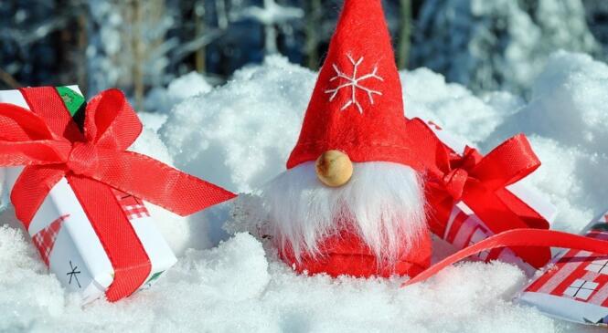 Fermeture Club : vacances de Noël : du 25 décembre 2017 au 2 janvier 2018 image article