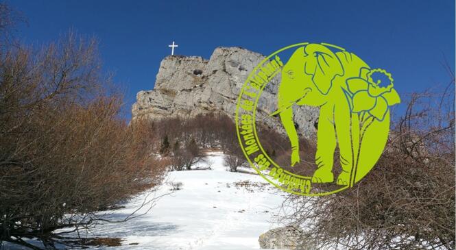 1ère édition des Montées de l'éléphant sous le signe du soleil ! image article