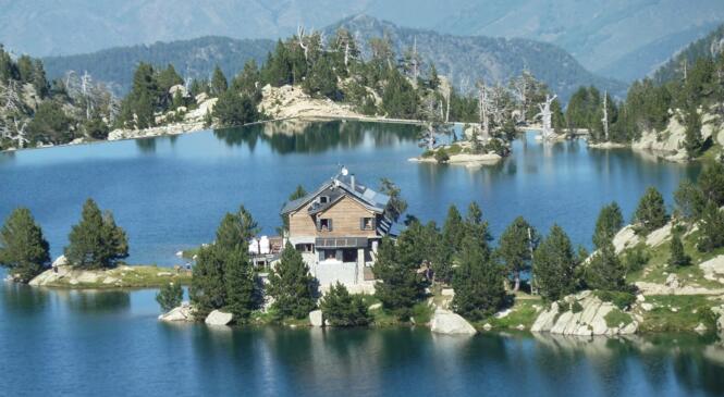 Les Encantats vont vous enchanter !! image article