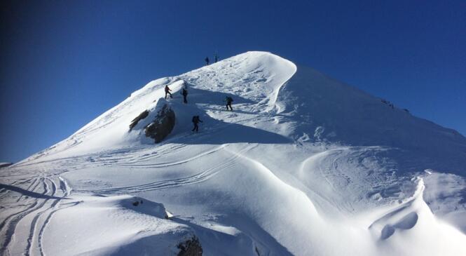Crève Tête au Soleil image article