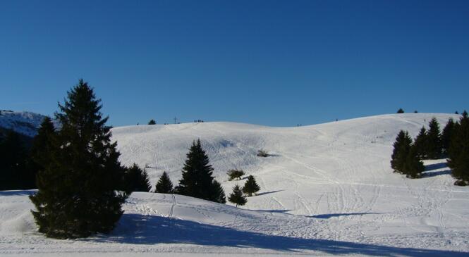 Montagne pour tous : sur fond de croix des bergers image article