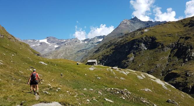 Trail Transfrontalier - Tour de la Bessanèse image article