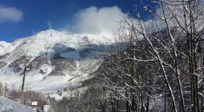 Commande hivernale de bons Vieux Campeur image article