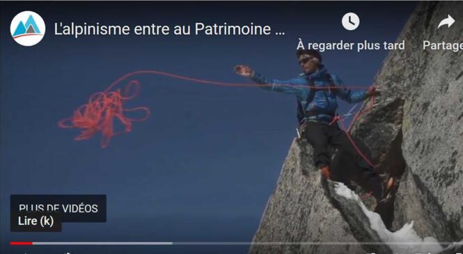 image article