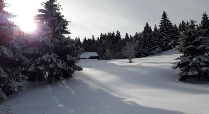 A Saint François de Sales, le temps d'un matin... image article