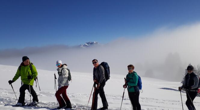 Le Semnoz en rando nordique image article