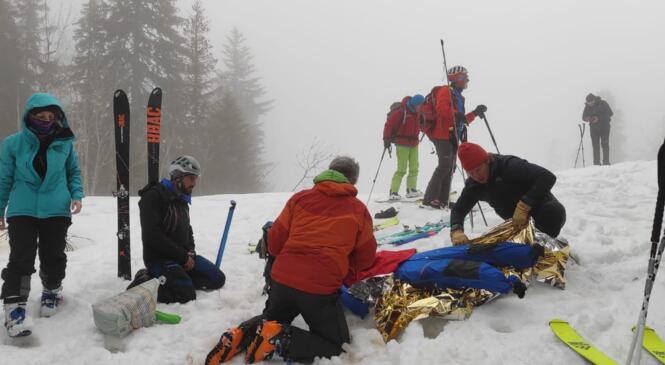 Alerte à Malibugeriaz ! image article