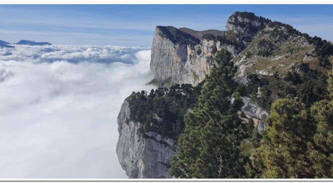 image article