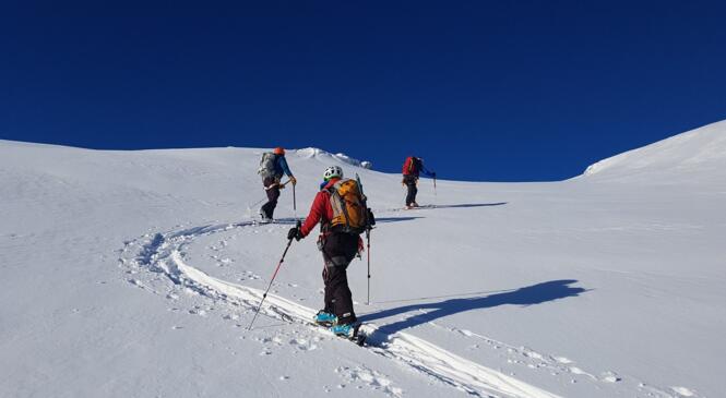 Groupe Féminin ski de montagne du Comité de Savoie image article