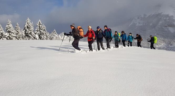 Quand la neige nous fait signe ... image article
