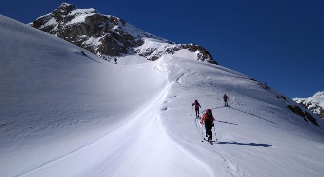 DECOUVERTE DU SKI DE RANDONNÉE image article