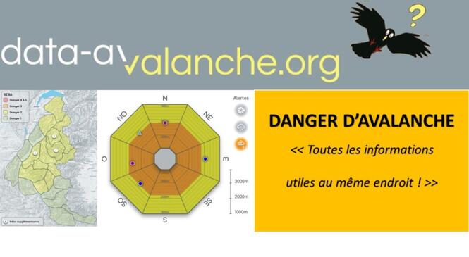 SYNTHESIS - Un nouvel outil par Data-Avalanches.org image article