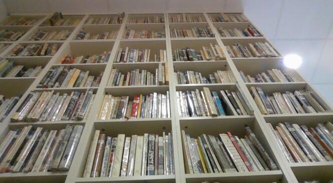 Le fonctionnement de la bibliothèque du Cairn image article