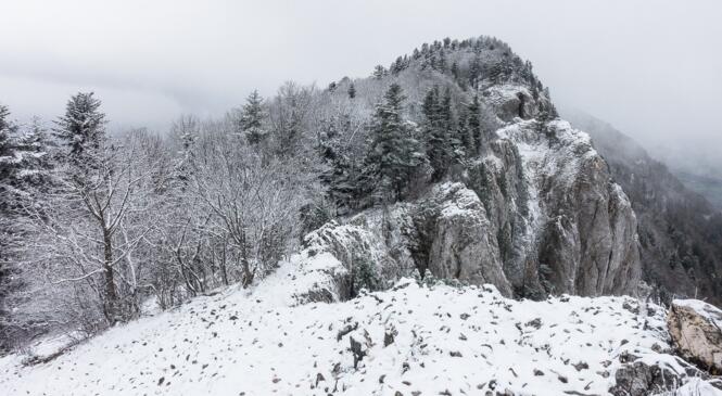 On y va quand même et ce fût sans regret ! image article