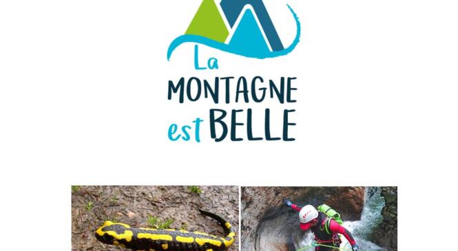 Eau, minéraux et bestiaux ! image article