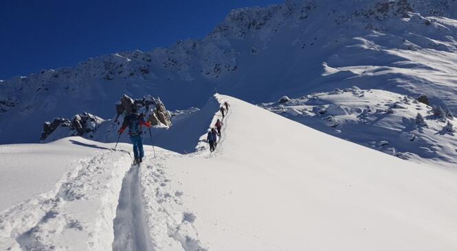 Neige, Soleil et bonne humeur ! image article