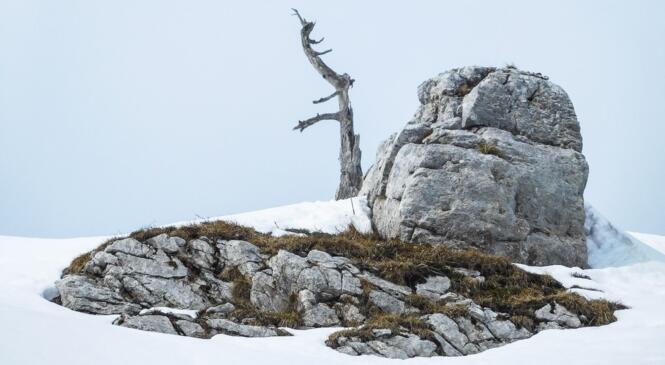 La pointe de Banc Plat, on a rien perdu au change ! image article