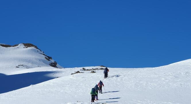raquettistes en cabane image article