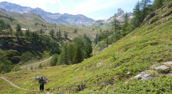 Mont Thabor, les vttistes t’ont eu ! image article