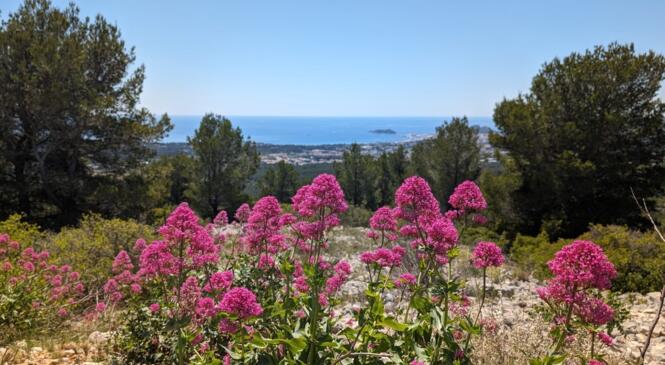 Camp de base dans les Calanques image article