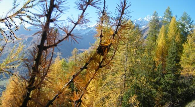Découvrez avec nous les sommets autour de Monêtier Les Bains une vallée très ensoleillée. image article