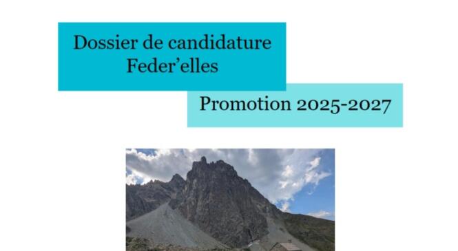 image article