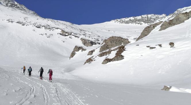 Des champis, de la poudre et une tête dans les nuages – Cinquième week-end pour le cycle initié immersif image article