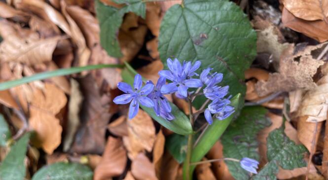 Du bleu dans le gris. image article