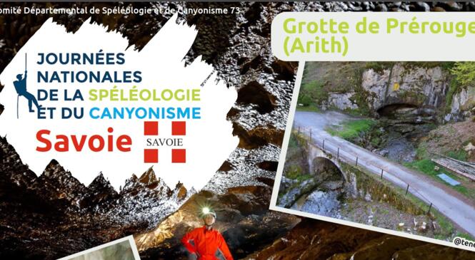 image article