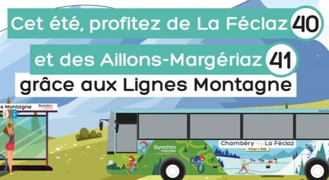 Cet été, profitez de La Féclaz et des Aillons-Margériaz grâce aux Lignes Montagne 40 et 41 image article