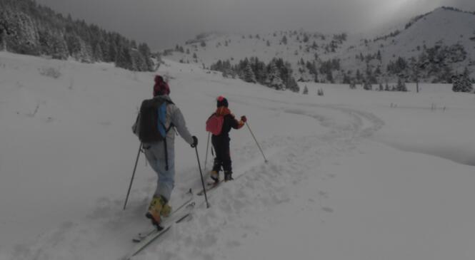 En route pour l'aventure ! image article