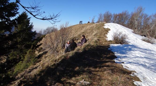 Rando sans raquettes au Mont Joigny image article