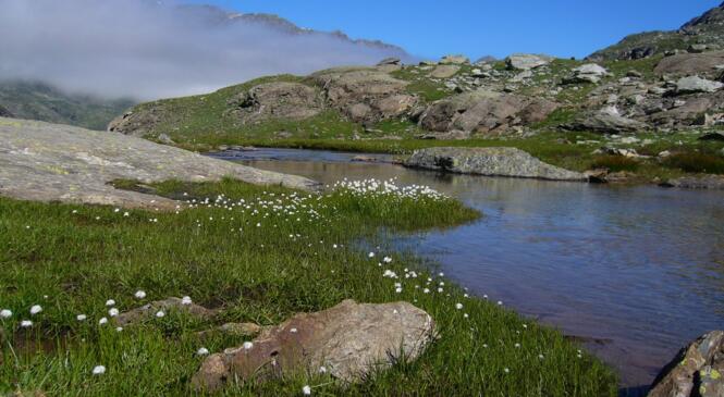 L’environnement montagnard, vendredi 23 mai au CAIRN image article